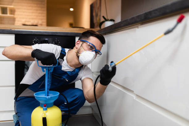 Best Termite Control Services  in Palo Cedro, CA