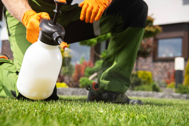 Best Commercial Pest Control Services  in Palo Cedro, CA