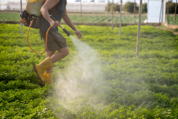 Best Pest Control for Restaurants  in Palo Cedro, CA