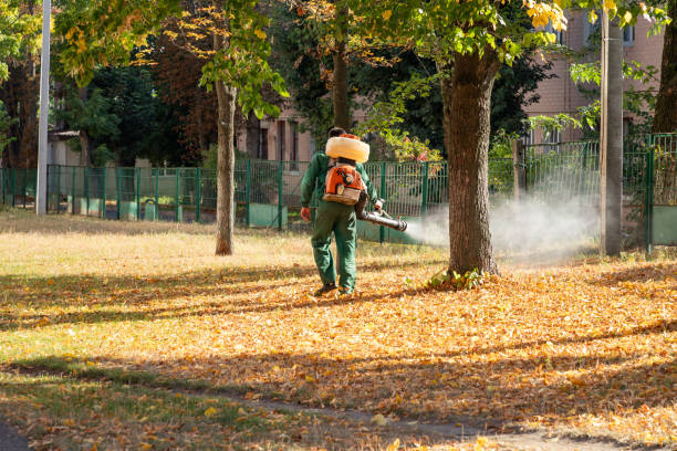 Best Rat Extermination Near Me  in Palo Cedro, CA